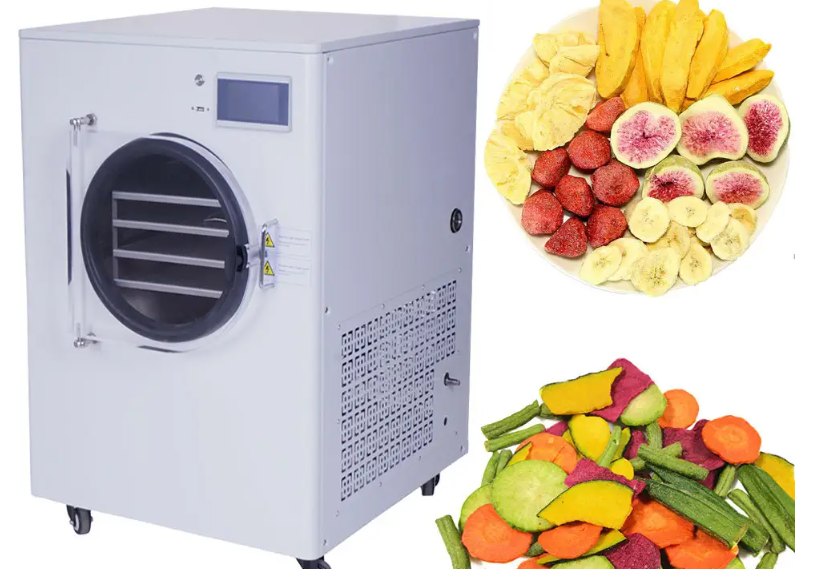 Dehydrator vs. Freeze Dryer: Understanding the Key Differences
